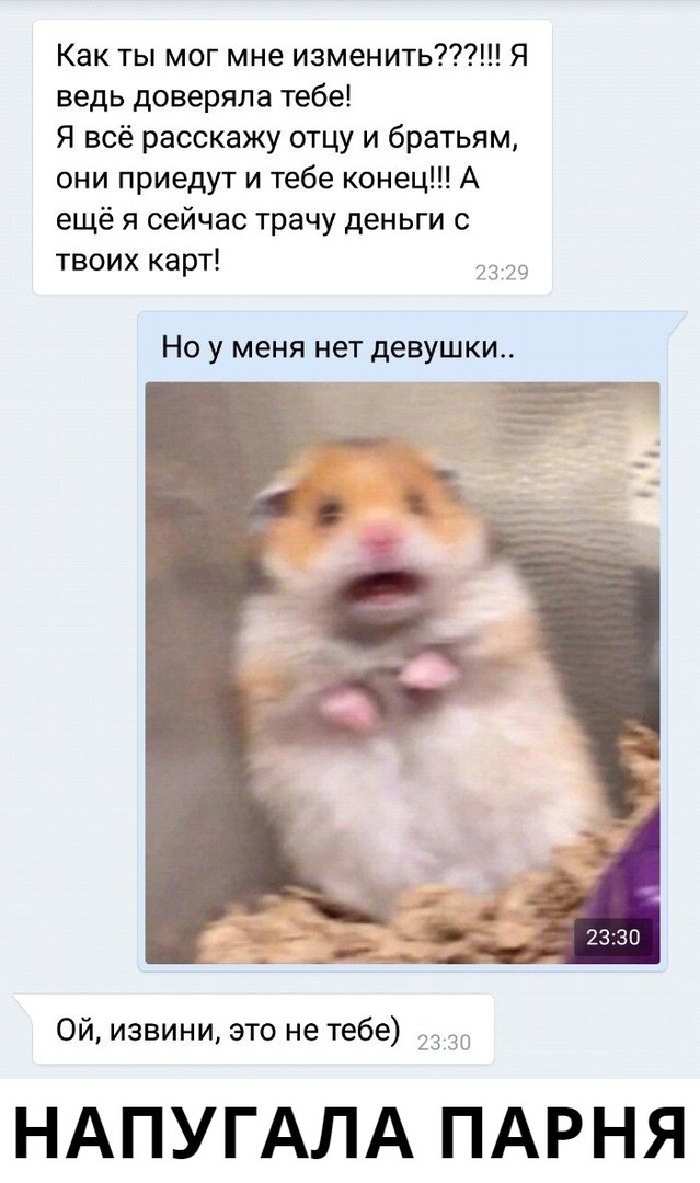 Как ты мог мне изменить Я ведь доверяла тебе Я всё расскажу отцу и братьям они приедут и тебе конец А ещё я сейчас трачу деньги с твоих карт 73 Но у меня нет девушки ой извини это не тебе 23 НАПУГАЛА ПАРНЯ