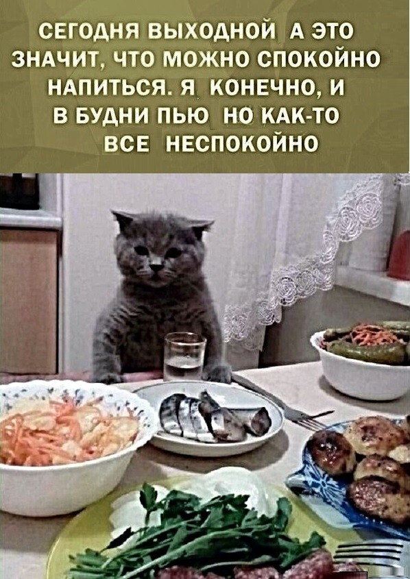 сегодня выходной А это зндчит что можно спокойно ндпиться я конечно и в Будни пью но кАк то всп неспокойно