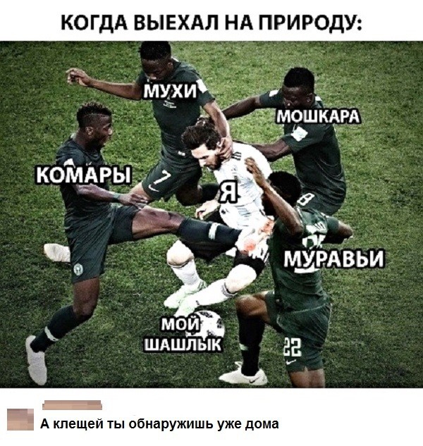 КОГДА ВЫЕХАЛ НА ПРИРОДУ ко1иАРы т д ЦФ мУрдвьи мо ШАШЙЁ за га а А клещей ты обнаружишь уже дома
