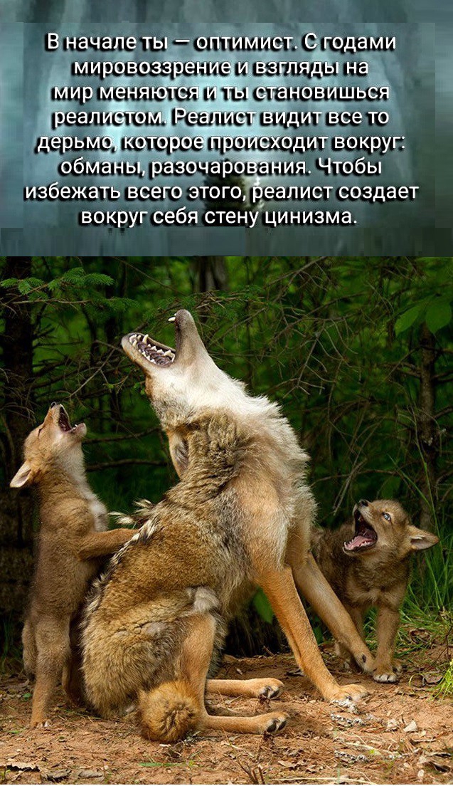 З нече ше ты снимает с ишемия щзшезызшше и вышщы ща шщз мамаши и тт 1 стиши шитьши Решист сщч