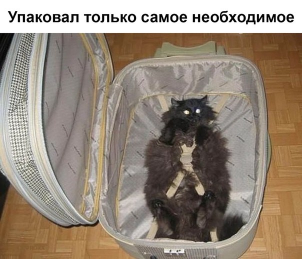 Упаковал ТОЛЬКО самое необходимое