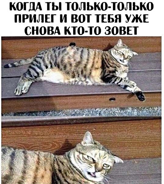 КОГДА ТЫ ТОЛ ЫЮ ТОЛ ЬКО ПРИЛЕГ И ВОТ ТЕБЯ УЖЕ СНОВА КТО ТО ЗОВЕТ