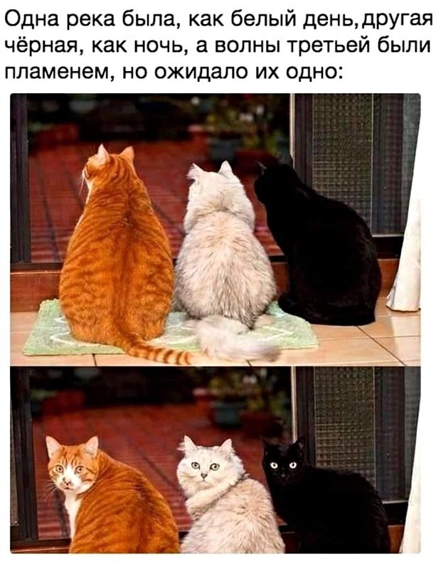 Одна река была как белый деньдругая чёрная как ночь а волны третьей были пламенем но ожидало их одно