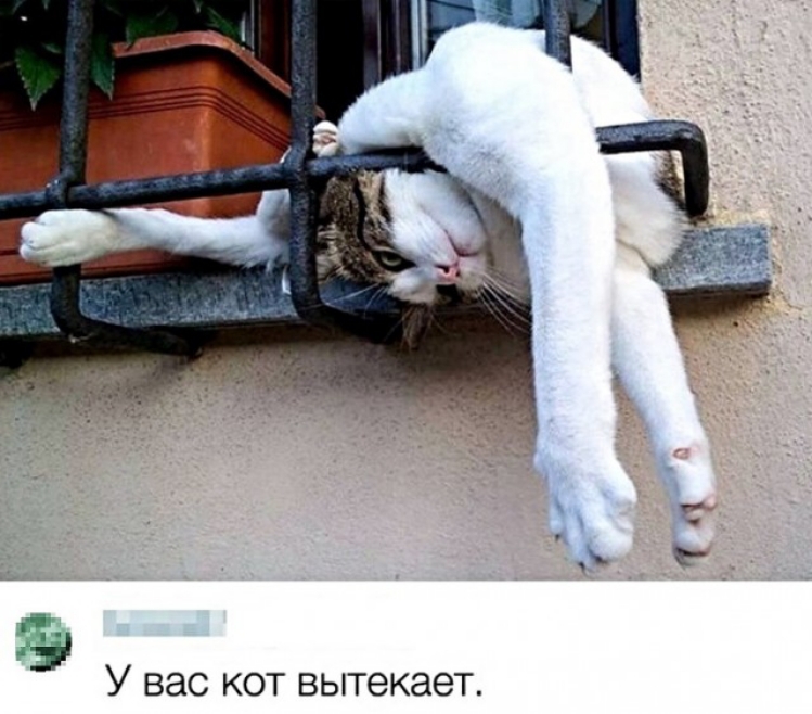 У ВЭС КОТ вытекает