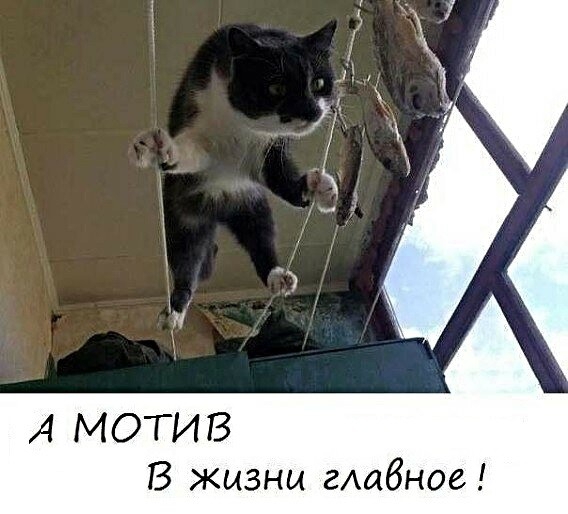 А МОТИВ В жизни главное