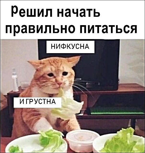 Решил начать правильно питаться НИФКУСНА