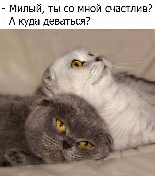 Милый ты со мной счастлив А куда деваться