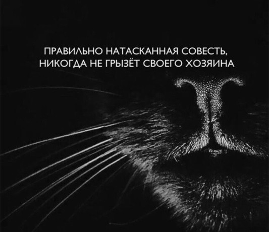 ПРАВИАЬНО НАТАСКАННАЯ СОВЕСТЬ НИКОГАА НЕ ГРЫЗЁТ СВОЕГО ХОЗЯИНА