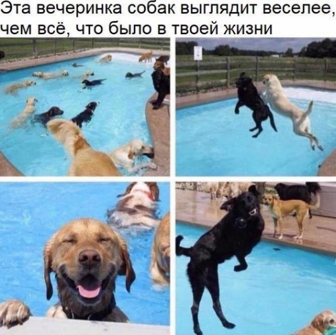 Эта вечеринка СООЭК ВЫГЛЯДИТ веселее чем все ЧТО было В твоей ЖИЗНИ