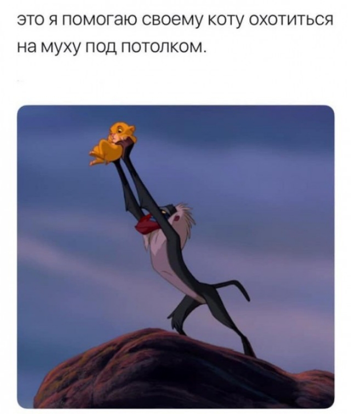 ЭТО Я помогаю своему КОТУ ОХОТИТЬСЯ НЭ МУХУ ПОД ПОТОЛКОМ