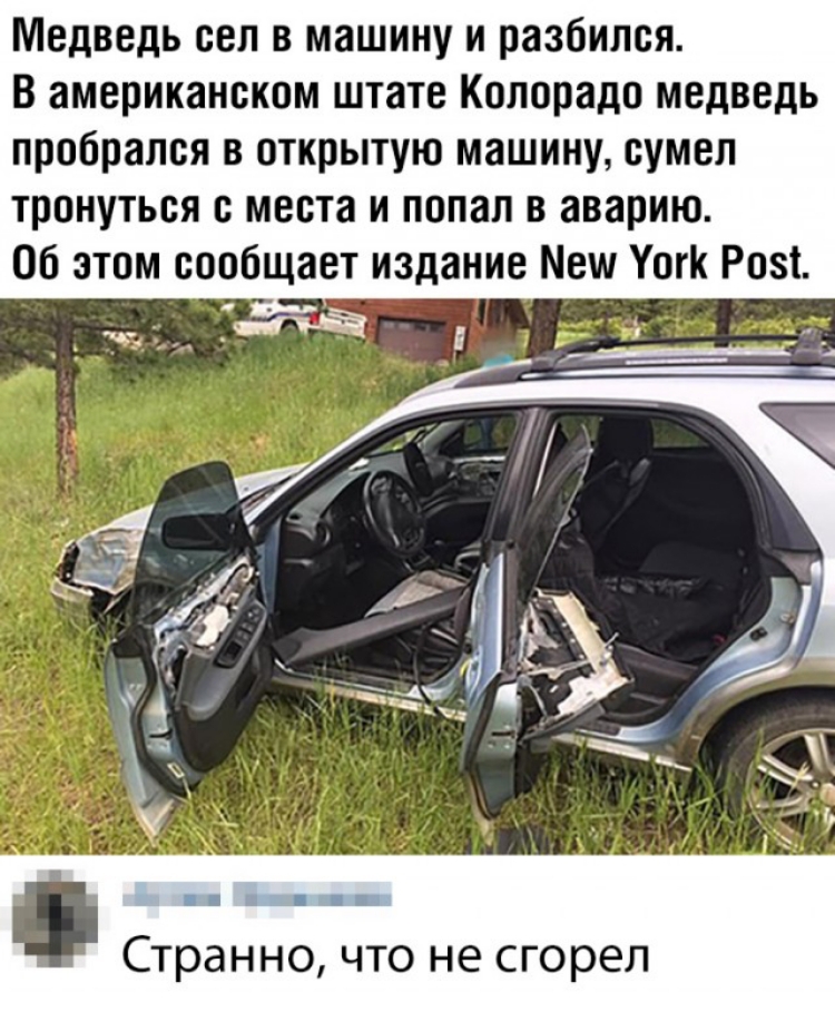 Медведь сел в машину и разбился В американском штате Колорадо медведь пробрался в открытую машину сумел тронуться с места и попал в аварию Об этом сообщает издание Меш Уогк Розі _ __ _ Странно что не сгорел