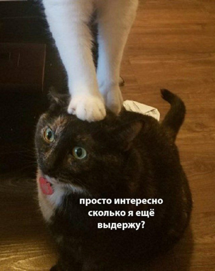 __ 91 просто интересно сколько я ещё выдержу
