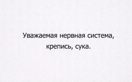 Уважаемая нервная сисгема крепись сука
