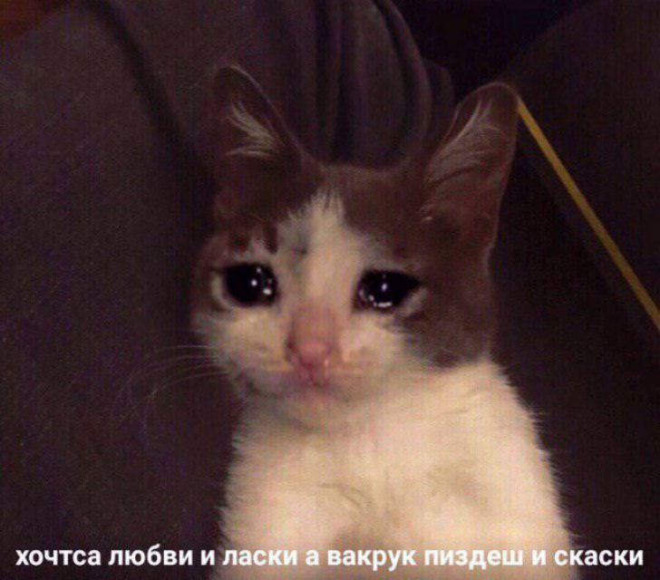 хочтса любви и