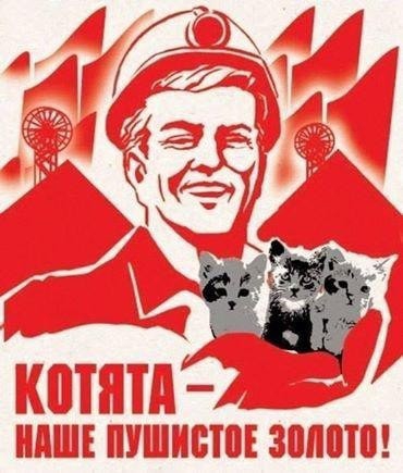 ШУШШЁЮЕ ЗЕЁНФПШЕ
