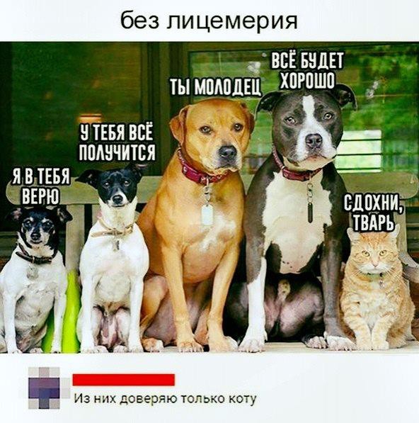 без лицемерия всЁ виды ты АЦЩ _ХЦРпшв _ Н ТЕБЯ ВСЁ ППАНЧИШЯ Из них доверяю только оту