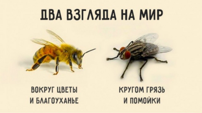 ПВА ВЗГАЯПА НА МИР днях ВОКРУГ ЦВЕТЫ КРУГОМ ГРЯЗЬ И БААГЦУХАНЬЕ И ППМОЙКИ