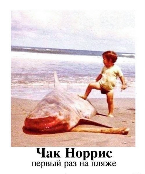 Чак Норрис первьш раз на пляже