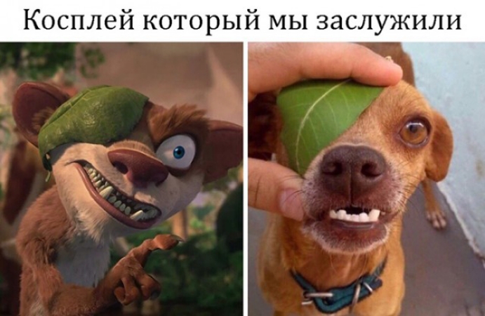 Косплей который мы заслужили
