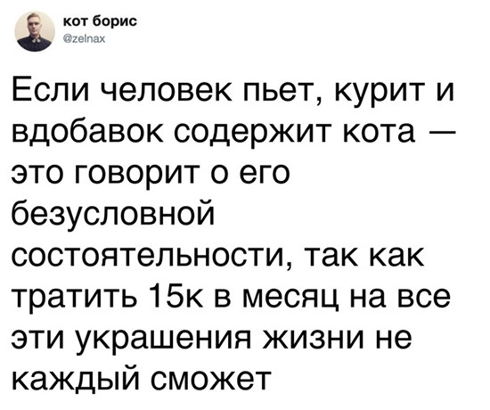 котбарис Если человек пьет курит и вдобавок содержит кота это говорит о его безусловной состоятельности так как тратить 15к в месяц на все эти украшения жизни не каждый сможет
