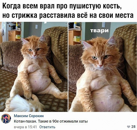 Когда ВСЕМ врал ППП ПУШИСТУЮ КОСТЬ СТПИЖКЭ расставила ВСЁ на СВОИ места Максим Сорокин КОТЗНПЭХВН Такие В 909 отжимали ХЭТЫ р т п отетить