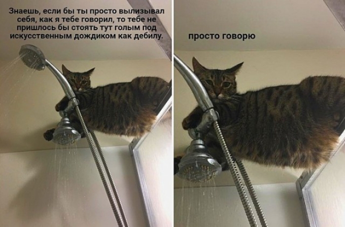 Знать если бы ты прссю ньппизьіцап ибп кпк и 169 говорил то тебя и пришюсь бы сшить тут голым гщд искусст иным дождиком как дебипу просто говорю