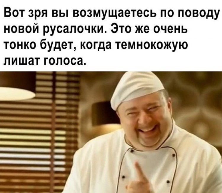 Вот зря вы возмущаетесь по поводу новой русалочки Это же очень тонко будет когда темнокожую лишат голоса