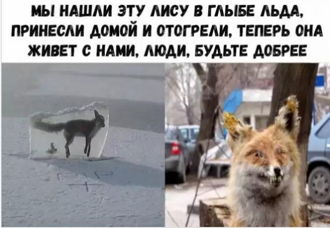 Ві НАШЛИ ЭТУ МИУ В Г АЫБЕ Аш ПРИНЕСМ домой И 0Т0ГРЕАИ ТЕПЕРЬ ОНА ЖИВЕТ НАМИ АЮАИ БУДЬТЕ МБРЕЕ