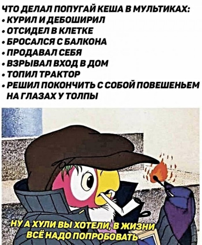 ЧТО дЕЛАЛ ПОПУГАЙ КЕША В МУЛЬТИКАХ КУРИЛ И ДЕБОШИРИЛ ОТСИДЕЛ В КЛЕТКЕ БРОСАЛСЯ С БАЛКОНА ПРОДАВАЛ СЕБЯ ВЗРЫВА ВХОД В дОМ ТОПИЛ ТРАКТОР РЕШИЛ ПОКОНЧИТЬ С СОБОЙ ПОВЕШЕНЬЕМ НА Г ЛАЗАХ У ТОЛПЫ