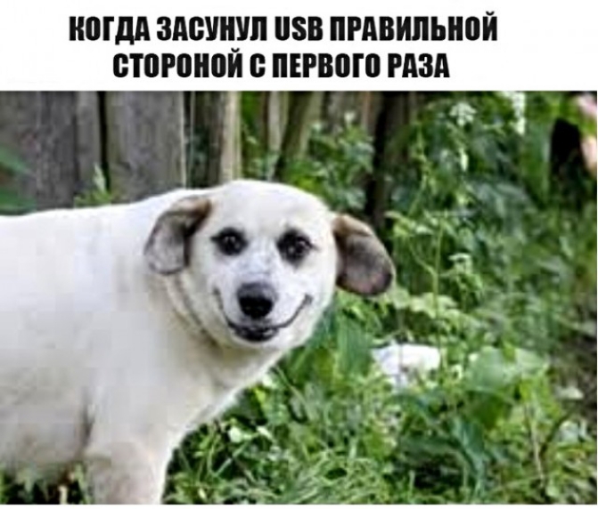 КОГДА ЗАВУЩШ ЗВ ПРАВИЛЪНВЙ ВТПРПНЦИ 0 ПЕРВОШ РАЗА