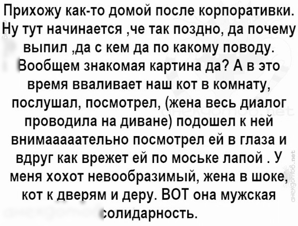 Прихожу как то домой после корпоративки Ну тут начинается че так поздно да почему выпил да с кем да по какому поводу Вообщем знакомая картина да А в это время ввапивает наш кот в комнату послушал посмотрел жена весь диалог проводила на диване подошел к ней внимааааательно посмотрел ей в глаза и вдруг как врежет ей по моське лапой У меня хохот невообразимый жена в шоке кот к дверям и деру ВОТ она м