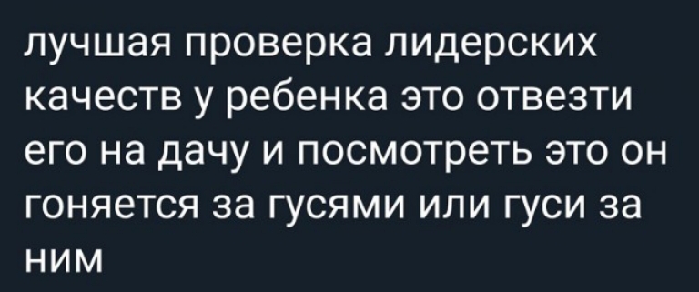лучшая проверка лидерских качеств у ребенка это отвезти его на дачу и посмотреть это он гоняется за гусями или гуси за ним