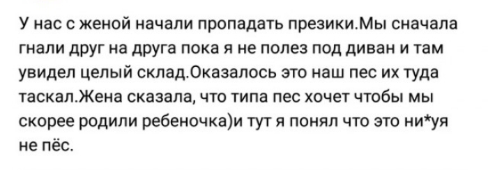 У нас с женой начали пропадать презикиМы сначала гнали друг на друга пока я не полез под диван и там увидел целый складОказалось это наш пес их туда таскалЖена сказалачто типа пес хочет чтобы мы скорее родили ребеночкаи тут я понял что это ниуя не пест