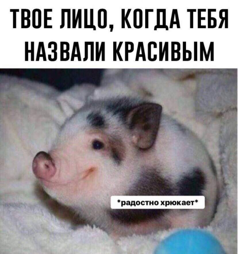 ТВПЕ ЛИЦО КОГДА ТЕБЯ НАЗВАЛИ КРАВИВЫМ _