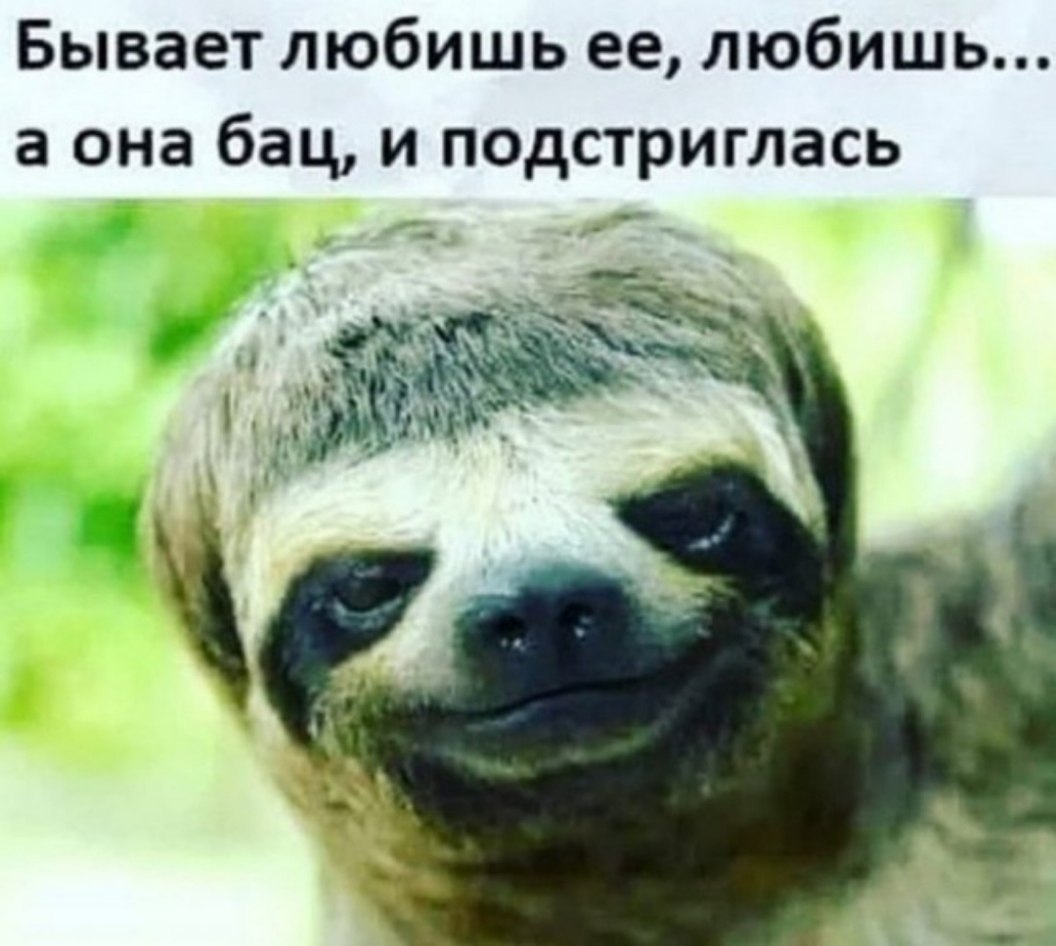 Бывает любишь ее любишь а она бац и подстриглась зад _