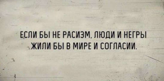 ЕСЛИ ВЫ НЕ РАСИЗМ ПЮЛИ И НЕГРЫ ЖИПИ БЫ В МИРЕ И СОГЛАСИИ