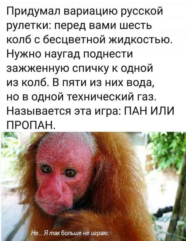 Придумал вариацию русской рулетки перед вами шесть колб с бесцветной жидкостью Нужно наугад поднести зажженную спичку к одной из колб В пяти из них вода но в одной технический газ Называется эта игра ПАН ИЛИ ПРОПАН Не Я так больше не играю