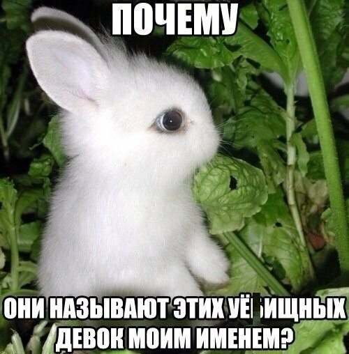 ШШ НАЗЫВАЮТ ЭТИХ УЕ іИЩНЁЁ дЕВШі ШШШ ИМЕНЕМ