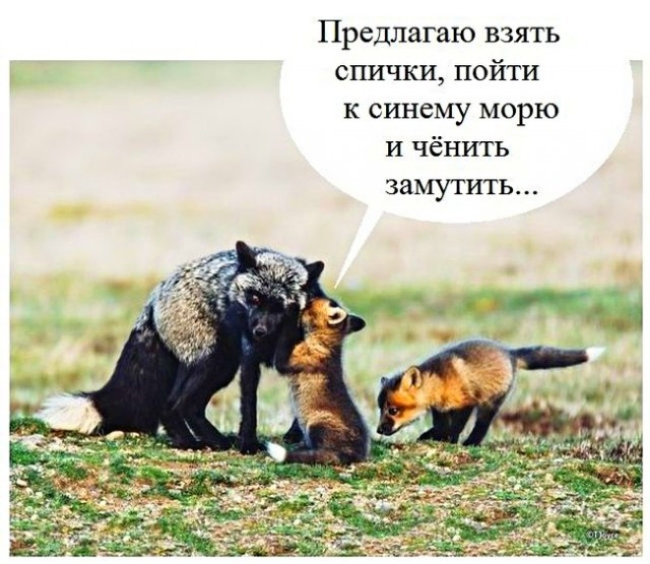 Предлагаю взять спички пойти к синему морю и чёнить ЗЗМУТИТЬ
