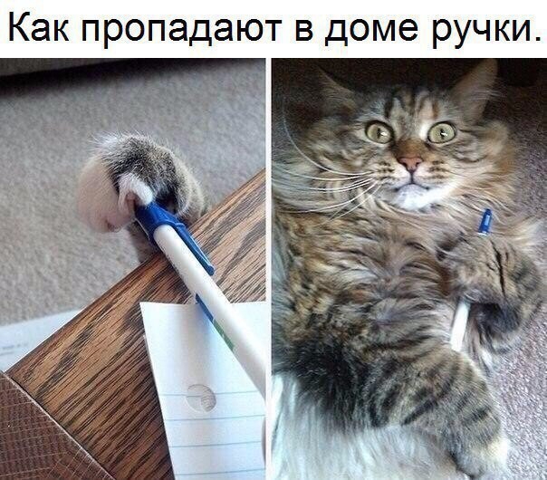 Как пропадают в доме ручки