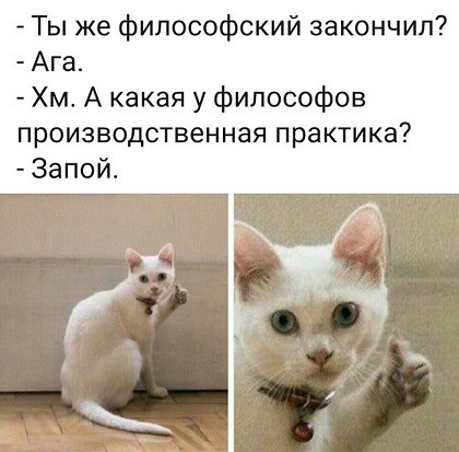 Ты же философский закончил Ага Хм А какая у философов производственная практика Запой