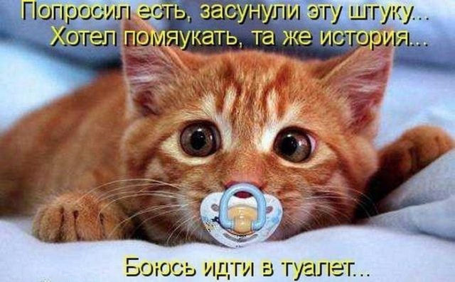 А Ь заСУН г ШГУКУ кать та же истъ ОЮСЬ ИДГИ В туалет 01