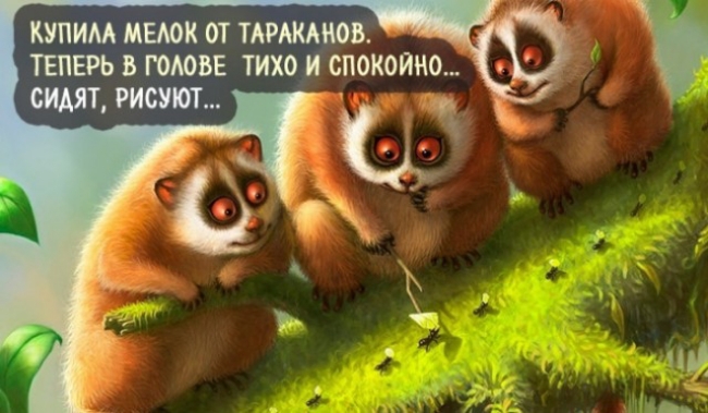 КУПИМ МЕМК ОТ ТАРАКМЮЬ ТЕПЕРЬ В ГОМВЕ ТИХО Й спокойно