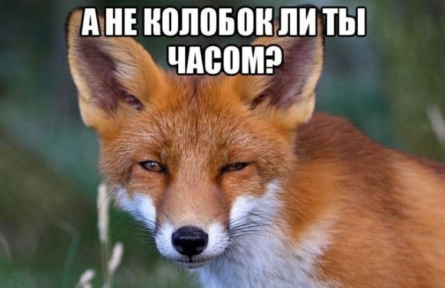 днъиоповон пи бт