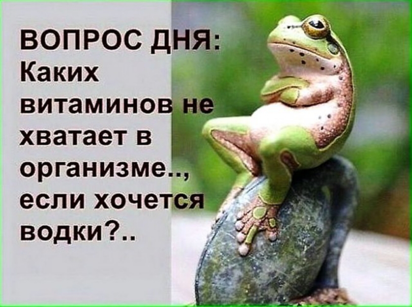 ВОПРОС ДН Каких _ витамино хватает в организме если хочетэд водки