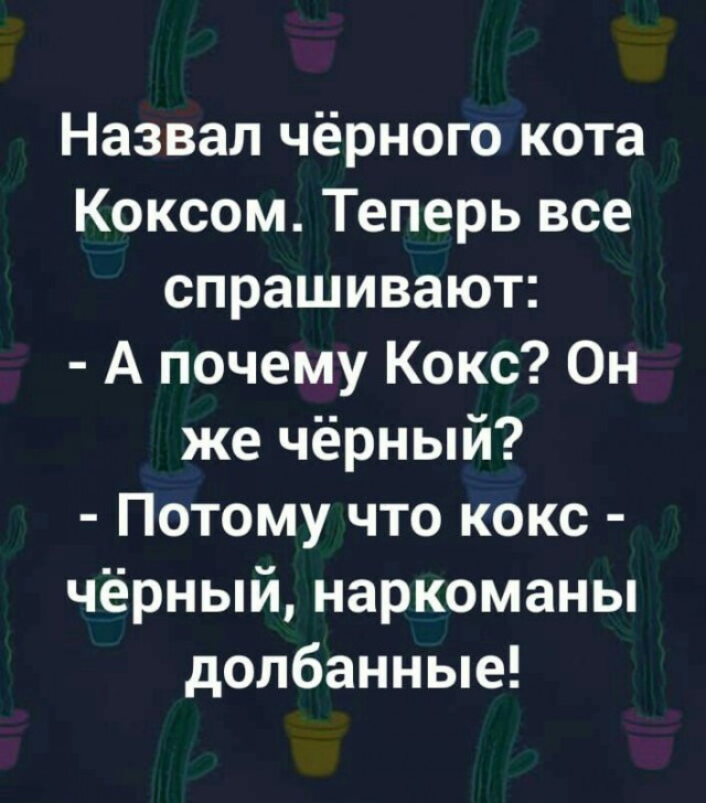 Назвал чёрного кота Коксом Теперь все спрашивают А почему Кокс Он же чёрный Потому что кокс чёрный наркоманы долбанные