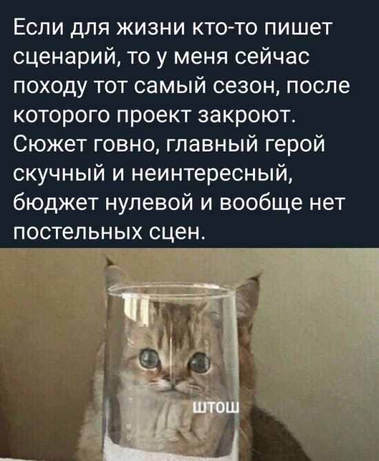 Если для жизни кто то пишет сценарий то у меня сейчас походу тот самый сезон после которого проект закроют Сюжет говно главный герой скучный и неинтересный бюджет нулевой и вообще нет постельных сцен