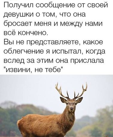 Получил сообщение от своей девушки 0 том что она бросает меня и между нами всё кончено Вы не представляете какое облегчение я испытал когда вслед за этим она прислала извини не тебе