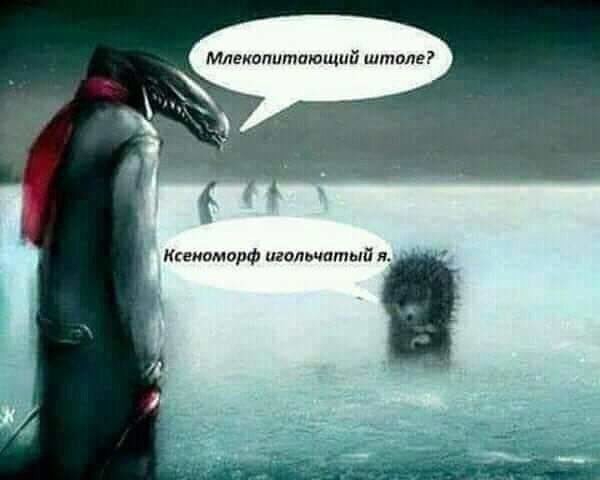 Млекопитающий штоле Кгемаморф игольчатый я