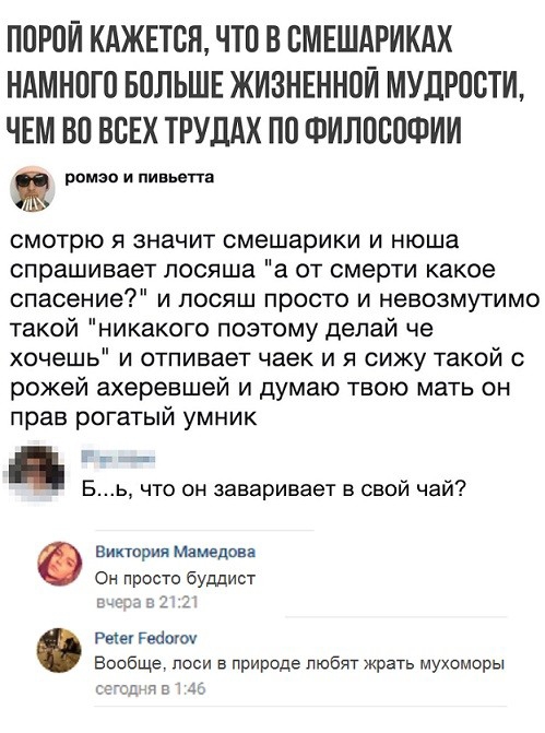 ПОРОИ КАЖЕТСЯ ЧТО В ОМЕШАРИКАХ НАМНОГО БОЛЬШЕ ЖИЗНЕННОИ МУДРОСТИ ЧЕМ ВО ВОЕХ ТРУДАХ ПО ФИЛОСОФИИ ремап и пивьвпн смотрю я значит смешарики и нюша спрашивает лосяша а от смерти какое опасение и посяш просто и невозмутимо такой никакого поэтому делай че хочешь и отпивает чаек и я сижу такой с рожей ахеревшей и думаю твою мать он прав рогатый умник Бь что он заваривает в свой чай Виктория мамедова Он